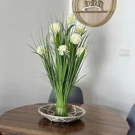 Kraljevacki Lux Parking Garaza Lejlighed Kraljevo