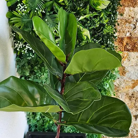 Kraljevacki Lux Parking Garaza Kraljevo